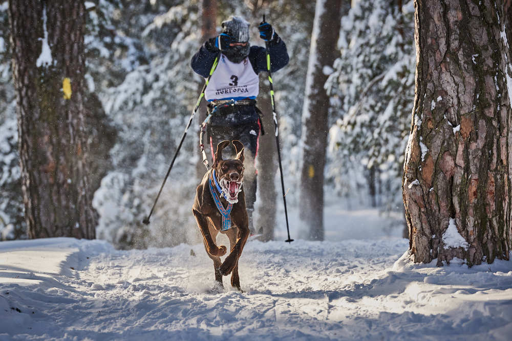 Фотография автора Владислав Храмцов