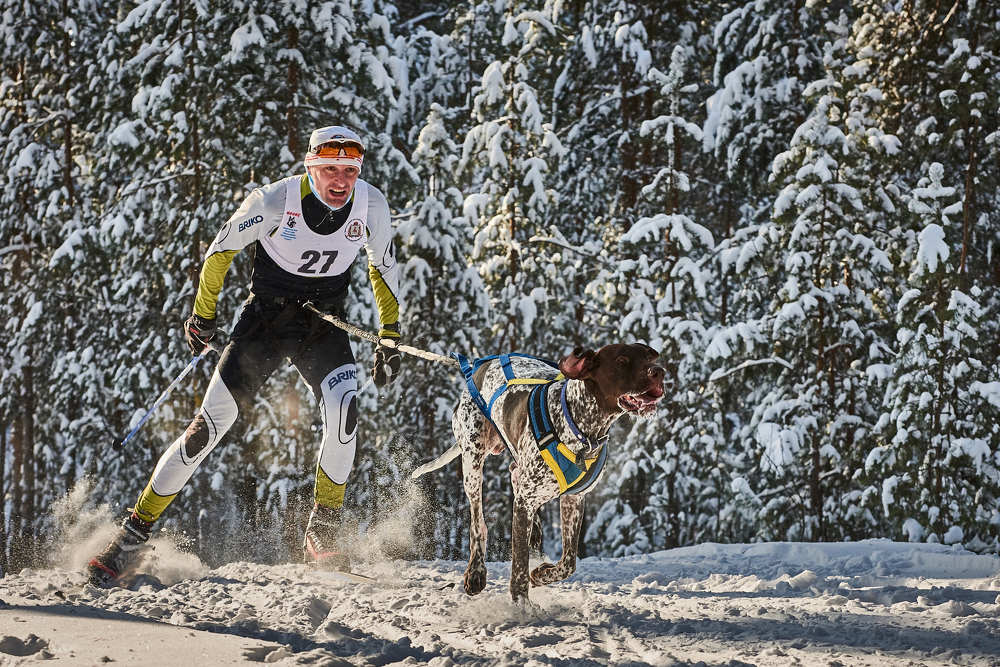 Фотография автора Владислав Храмцов
