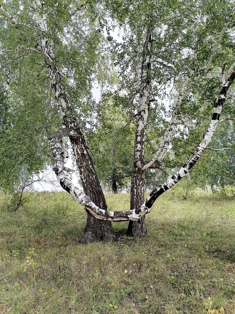 Photograph by Елена Аверьянова