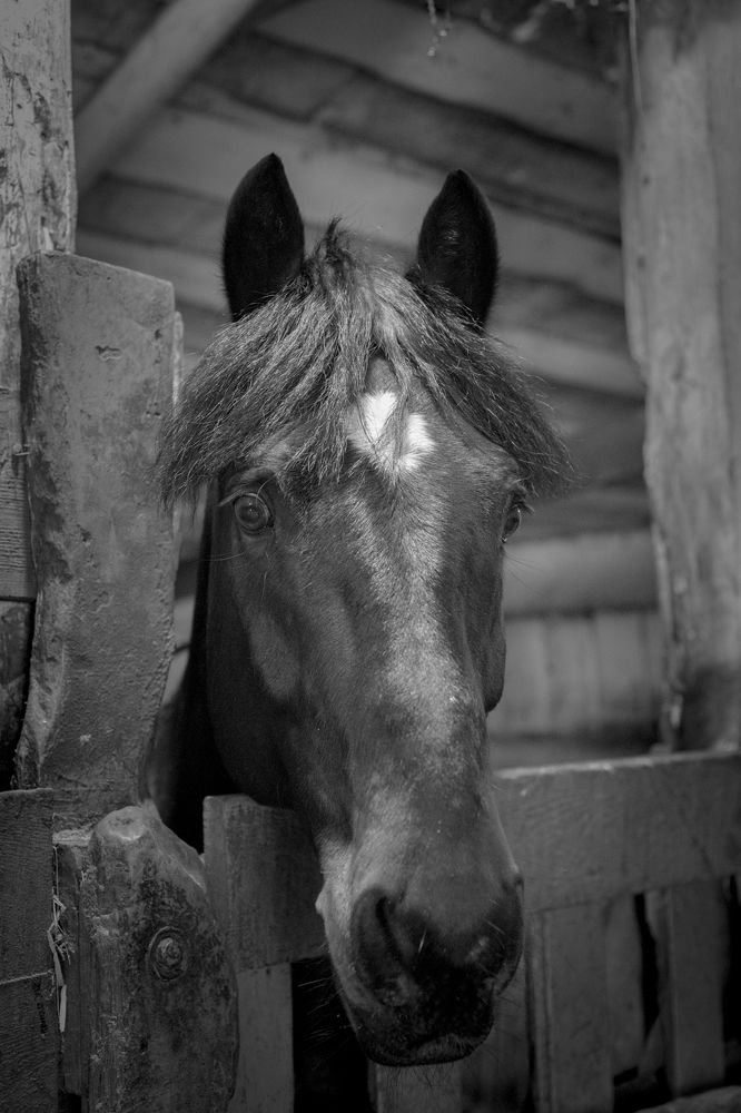 Photograph by Сергей Шерстнев