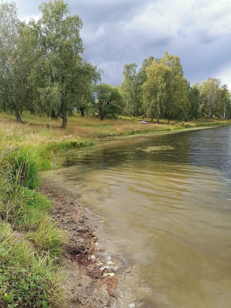 Photograph by Елена Аверьянова