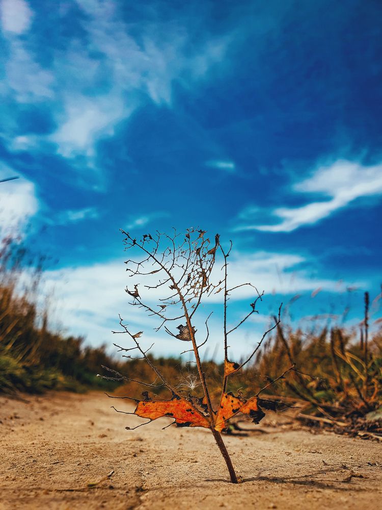 Photograph by Artem Gatin