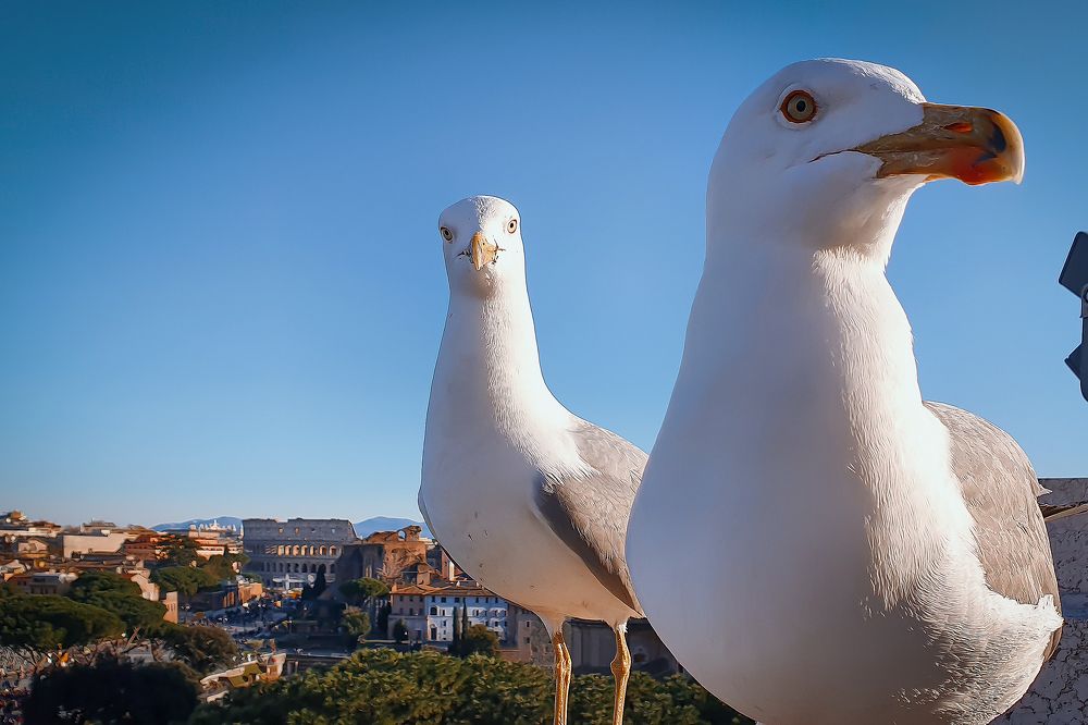 Photograph by Artem Gatin