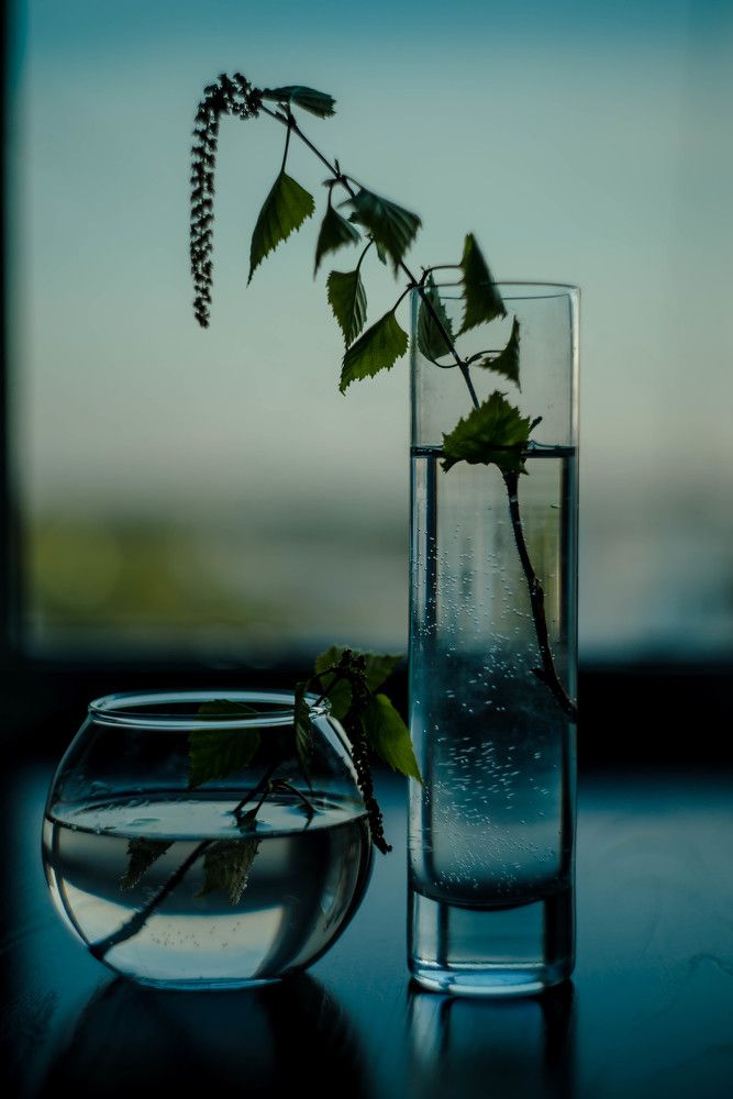 Photograph by Наталья Лещинская