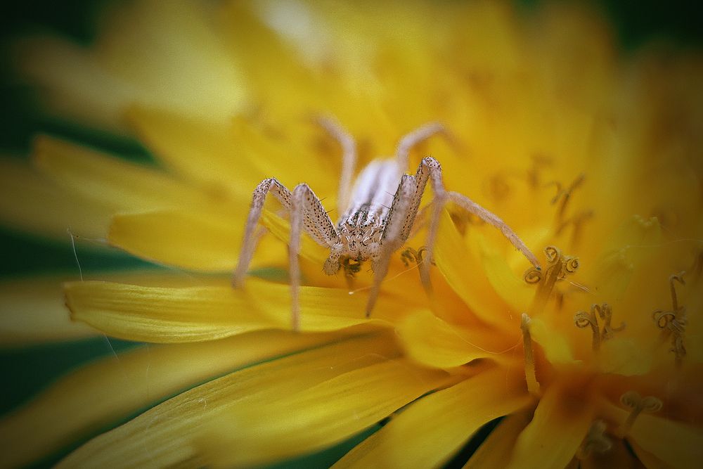 Photograph by Artem Gatin