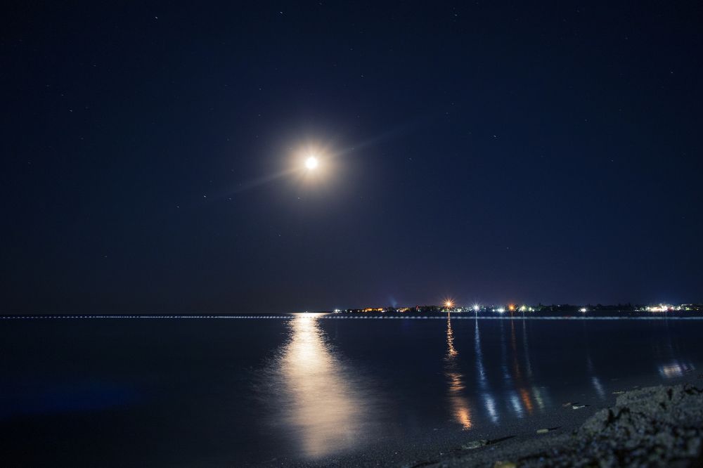 Photograph by Artem Gatin