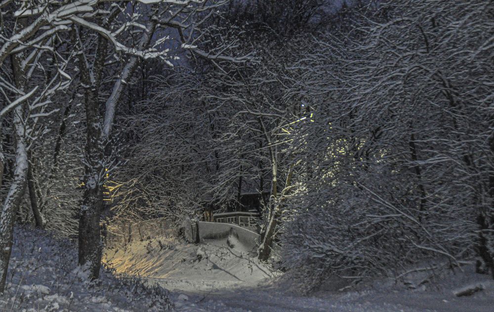 Photograph by Елена Зинцова