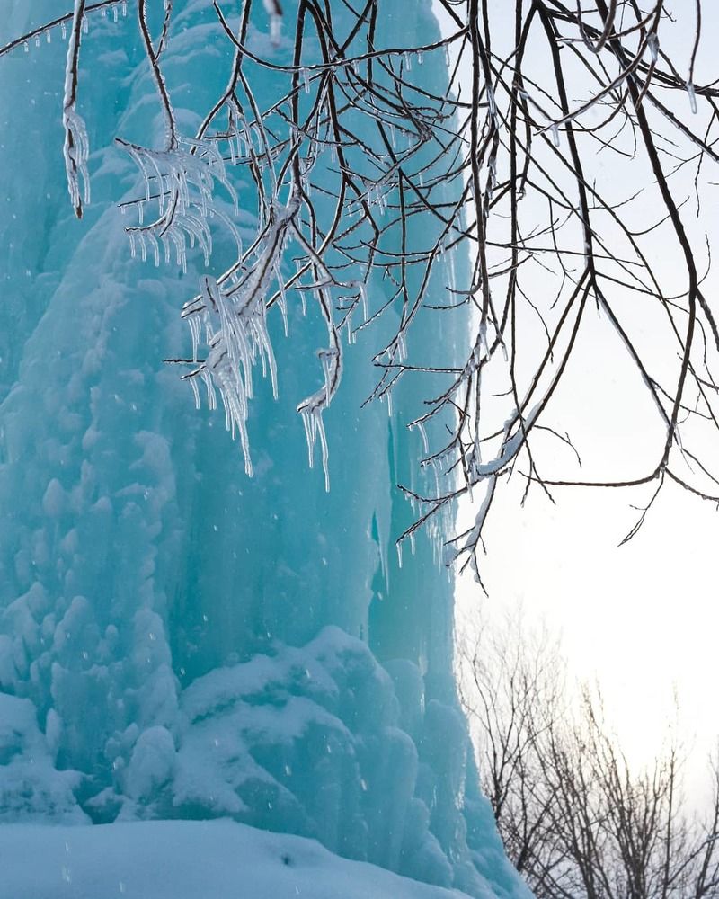 Photograph by Алиса Урсу