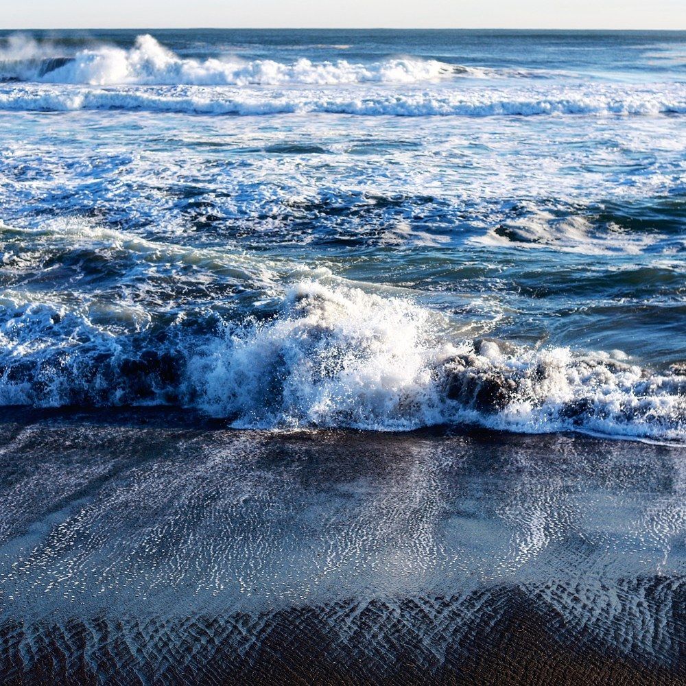 Photograph by Алиса Урсу