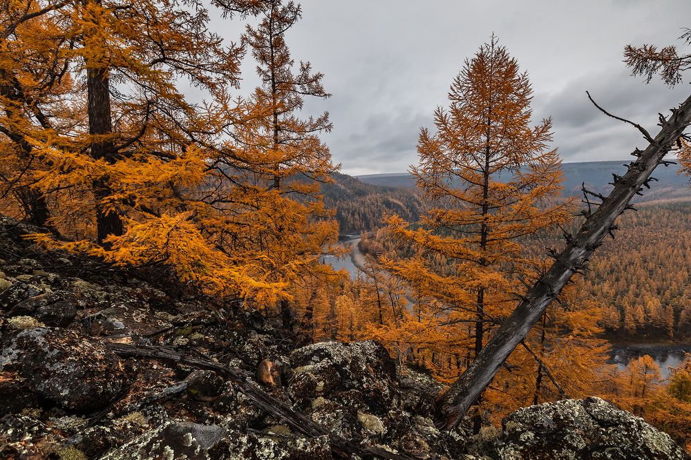 Photograph by Зарышнюк Роман