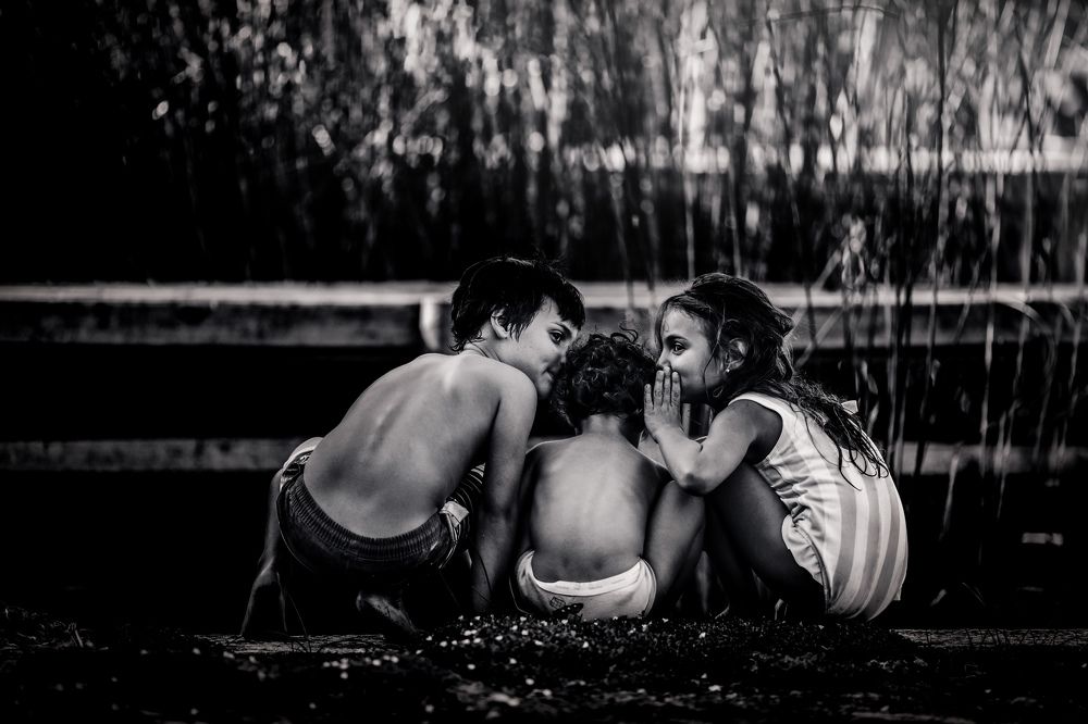 Photograph by Katherine Strauss