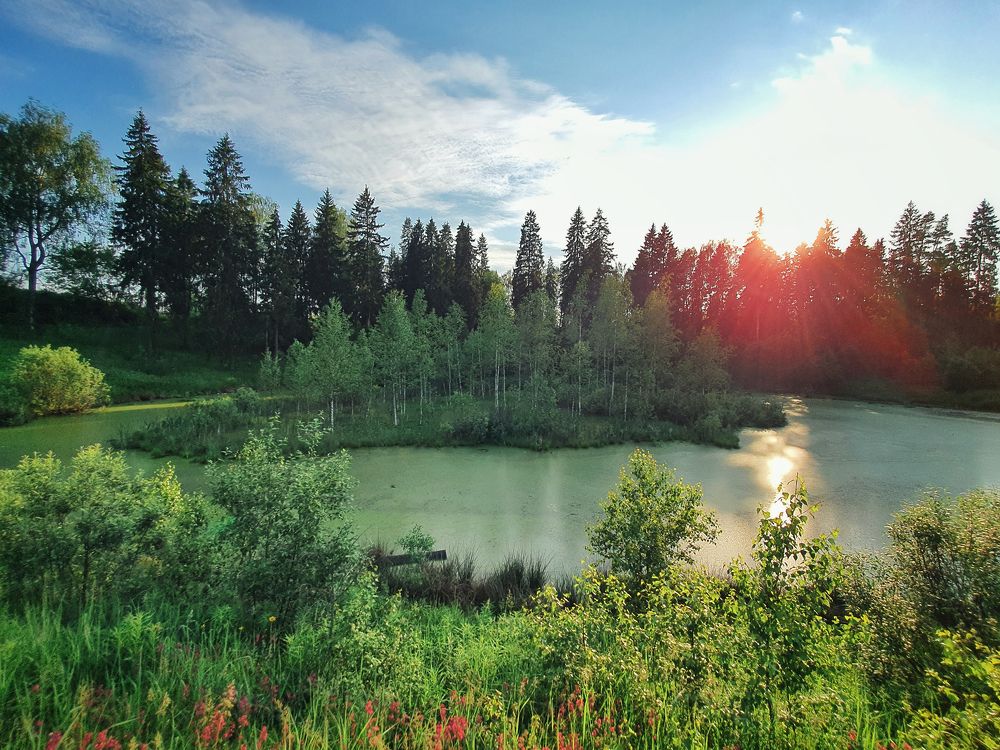 Photograph by Artem Gatin