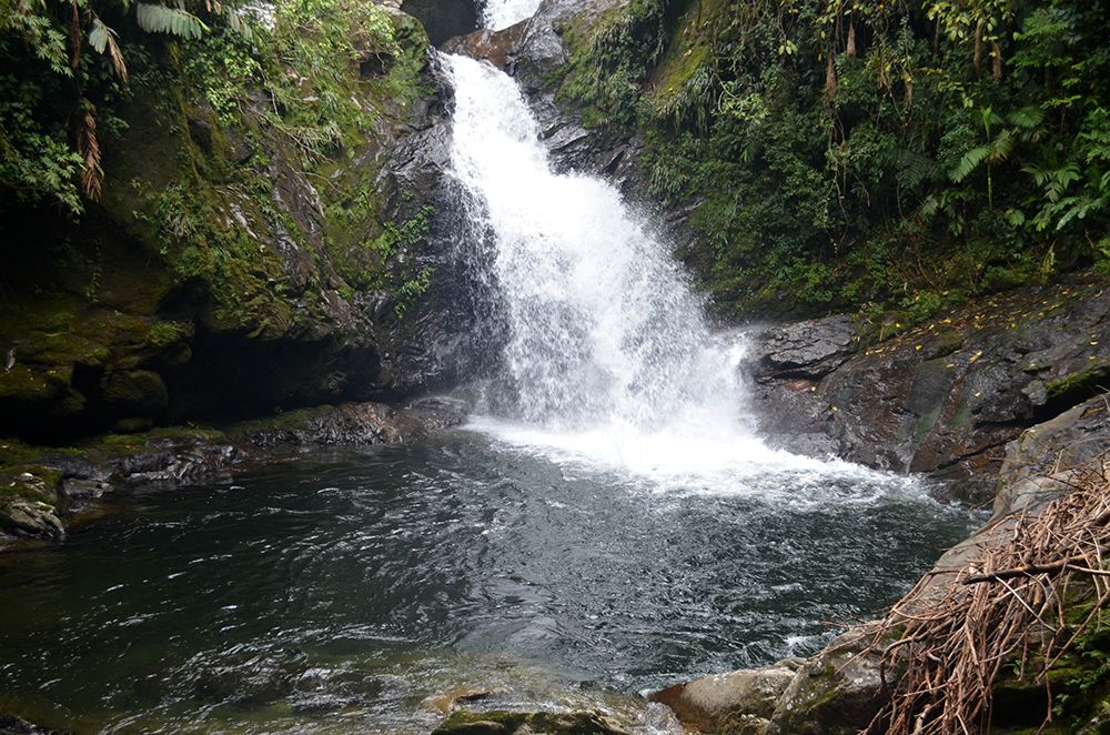 Photograph by Luis Miguel Báez Díaz