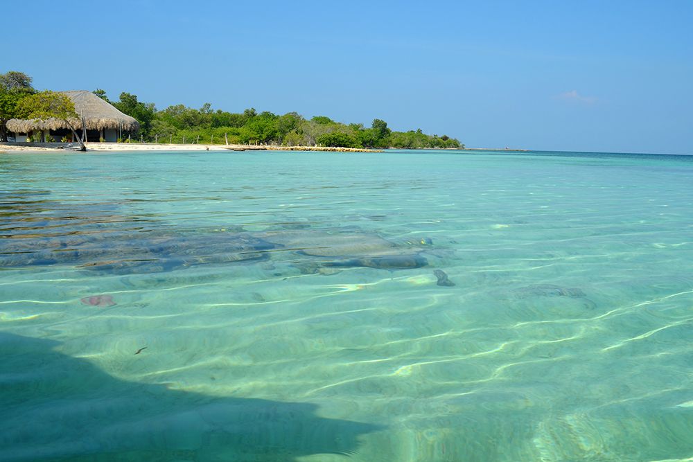 Photograph by Luis Miguel Báez Díaz