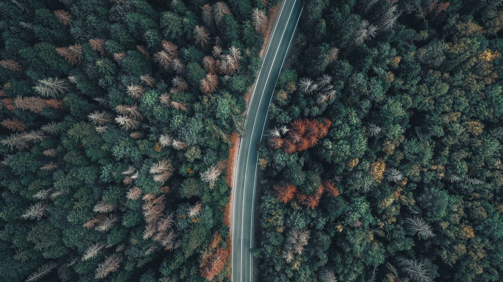 Photograph by Alexey Nikitin