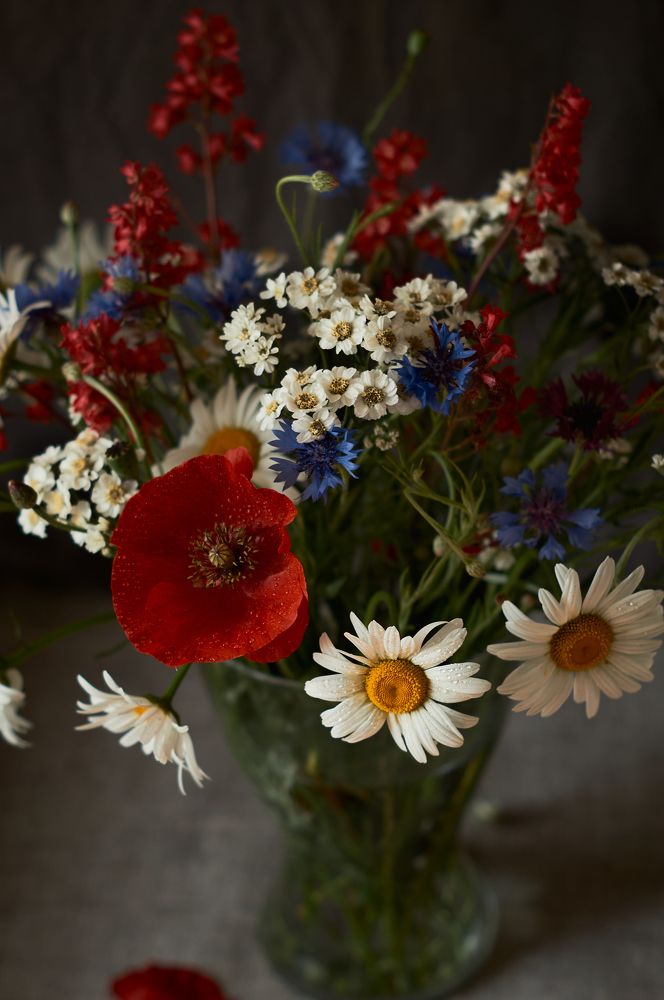 Photograph by Ирина Секачева