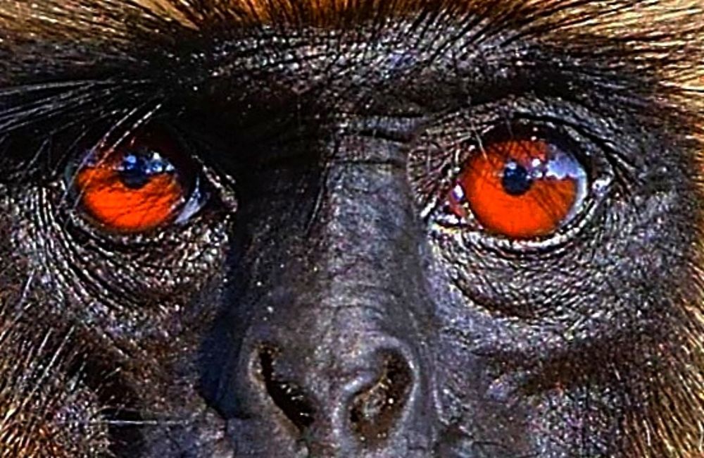 Photograph by gowathaman ganesan