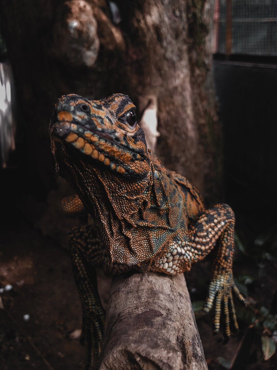 Photo #5707477