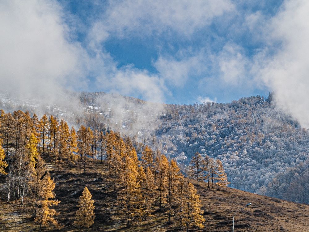 Photograph by Дмитрий Кузнецов