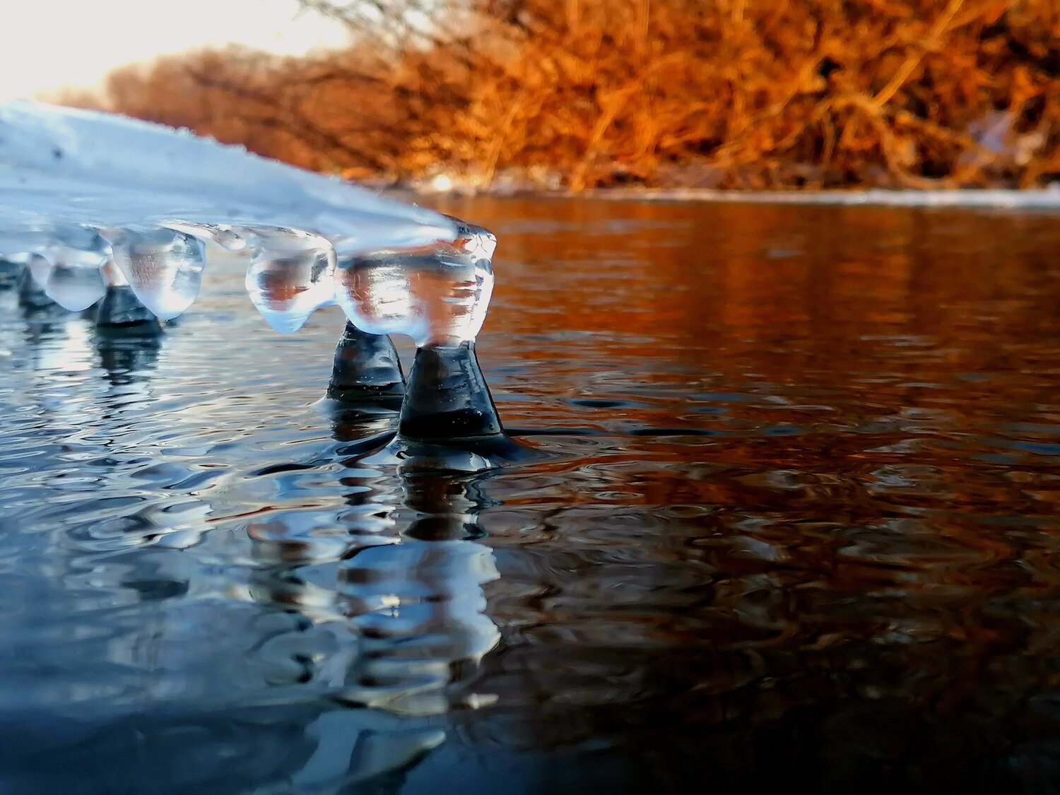 Photo #5707537
