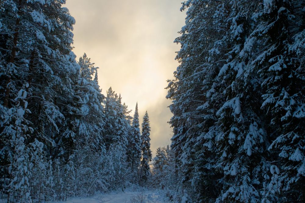 Photograph by Анатолий Калмыков