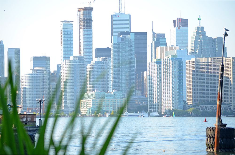 Photograph by Liliana Grup