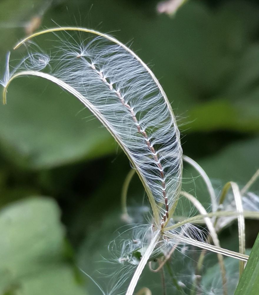 Photograph by Армен Багдасарян