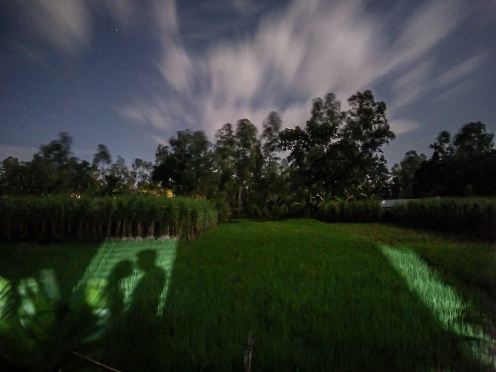 Photograph by Md Abu Sayeed Mondal