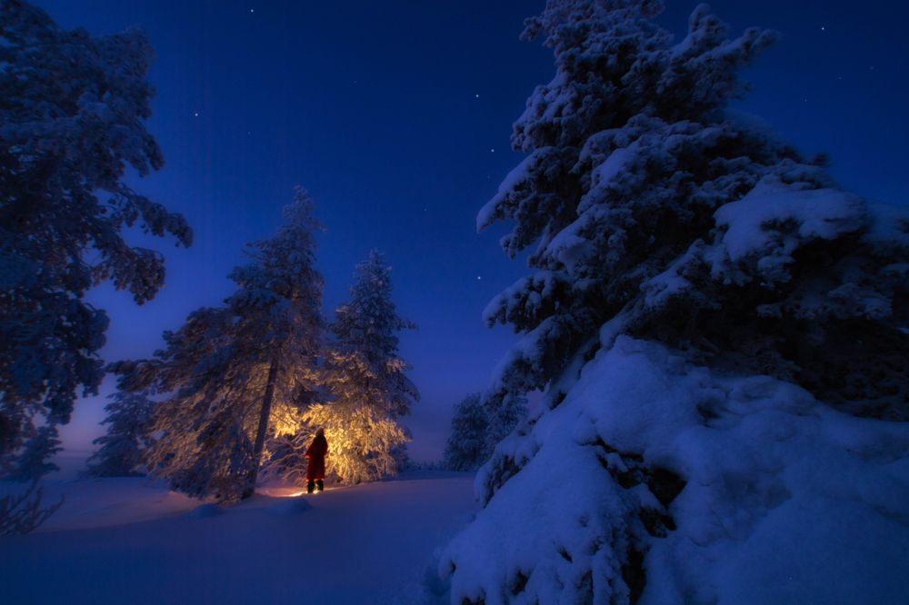 Фотография автора Катерина Осташева