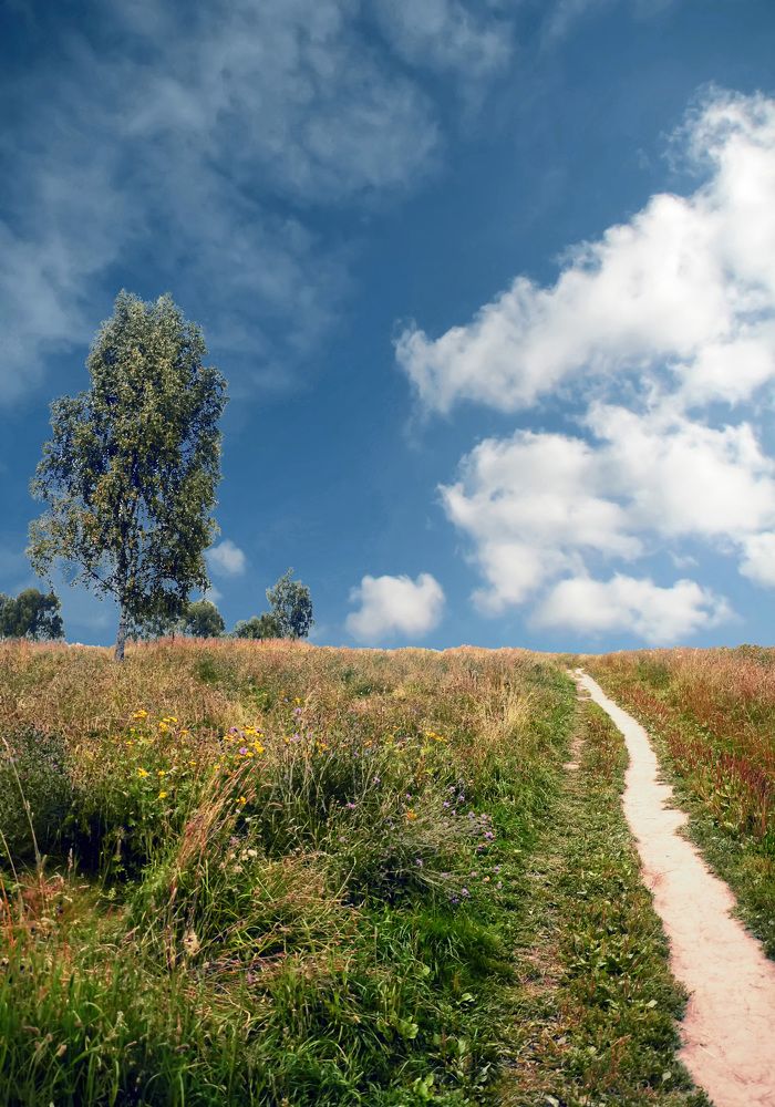 Photograph by Михаил Малец