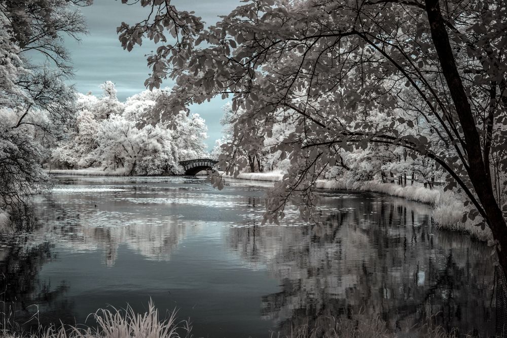 walking on the infrared