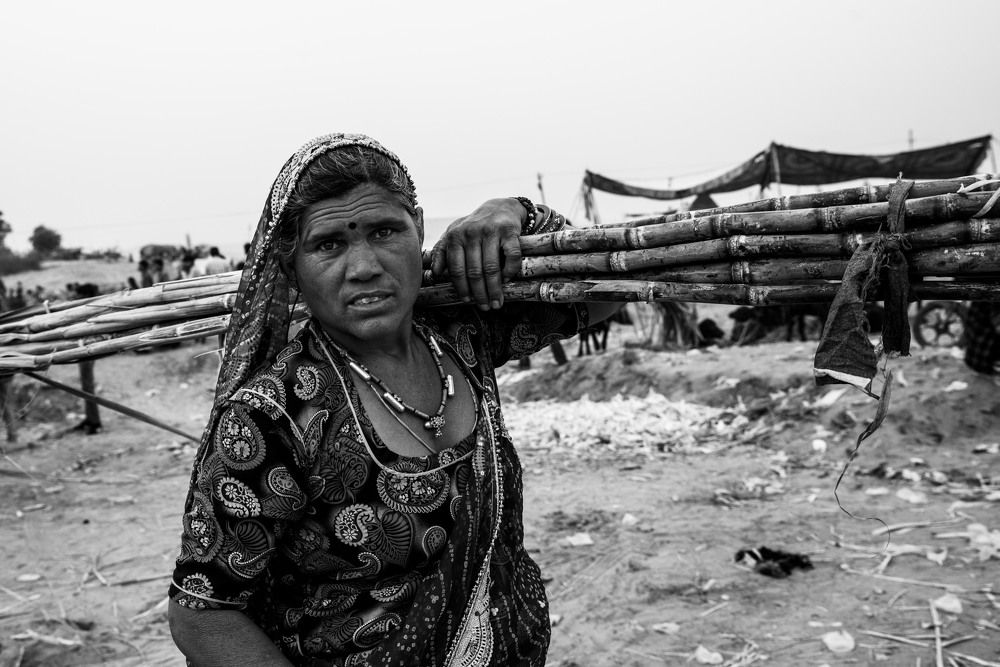 Photograph by Abdul hameed Thahir