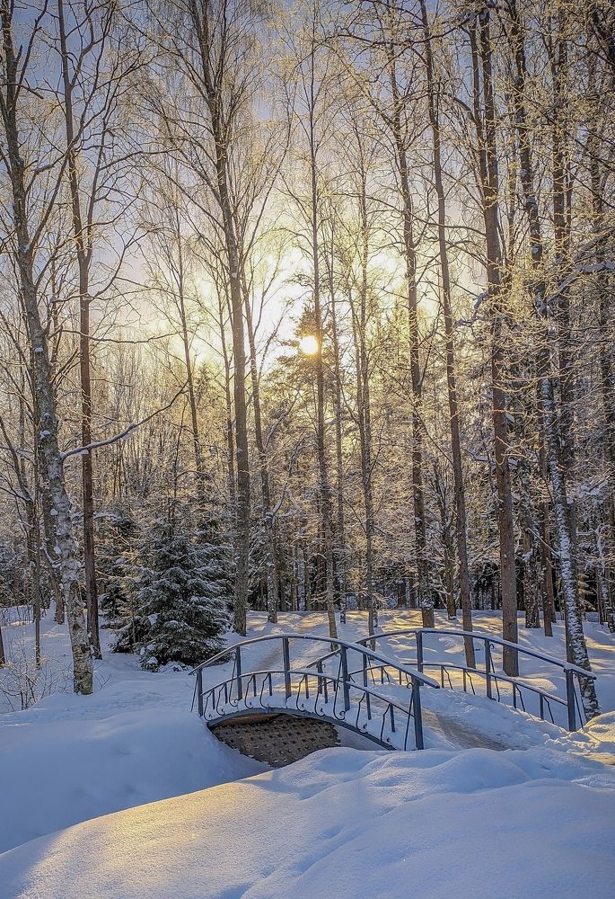 Photograph by Константин Леонюк