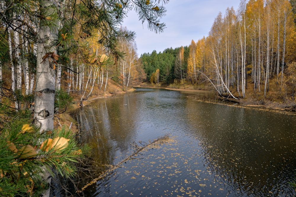 Пора листопада