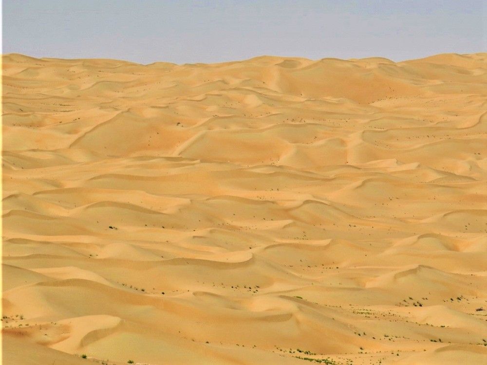 Photograph by Ovidiu Bogdan