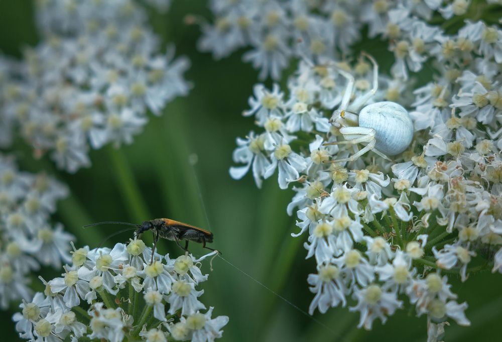 Photograph by Ольга Белова