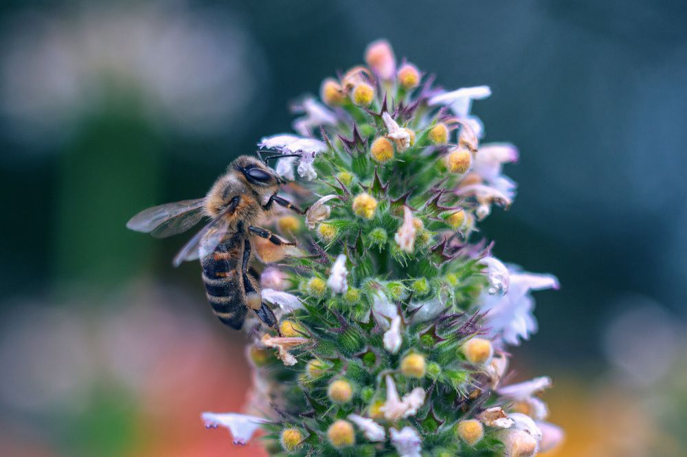 Photograph by Ольга Белова