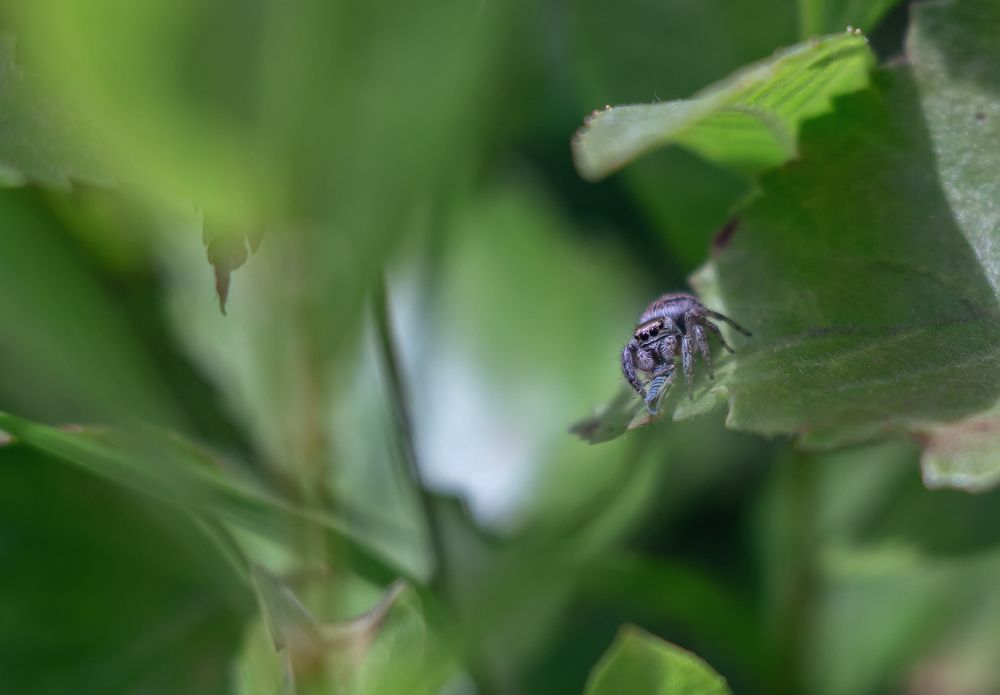 Photograph by Ольга Белова