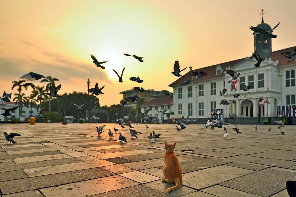 Photograph by Arief Adhari