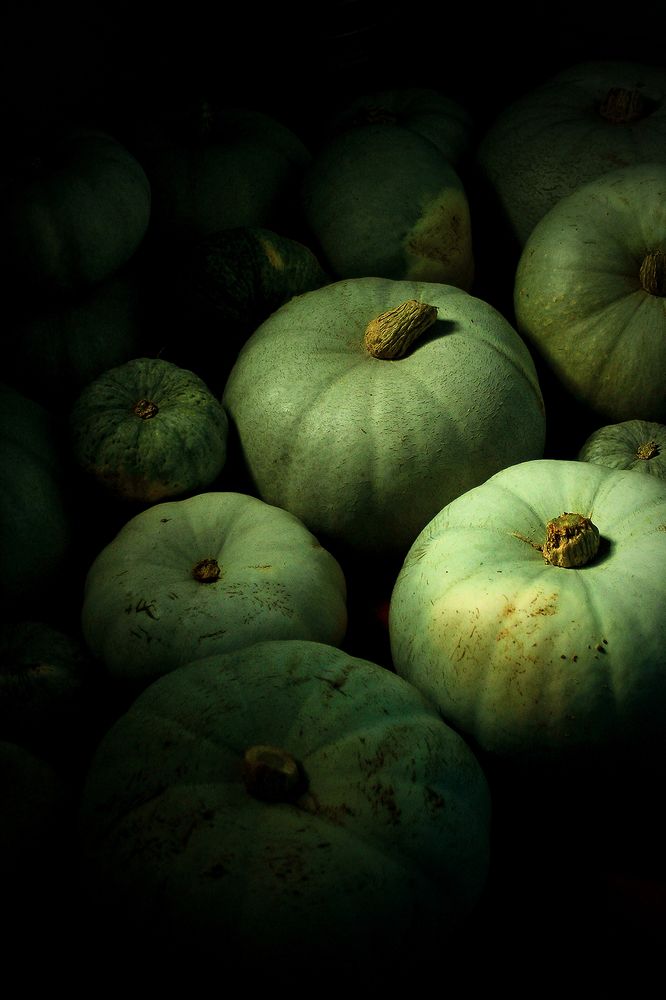 Photograph by Vitaliy Saposhnikov