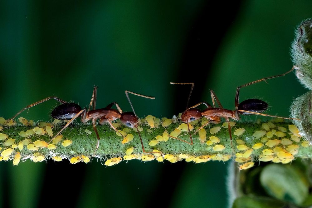 Photograph by KAIYEN LEE