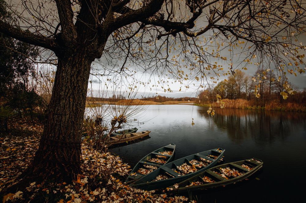 Photograph by Алина Андреева