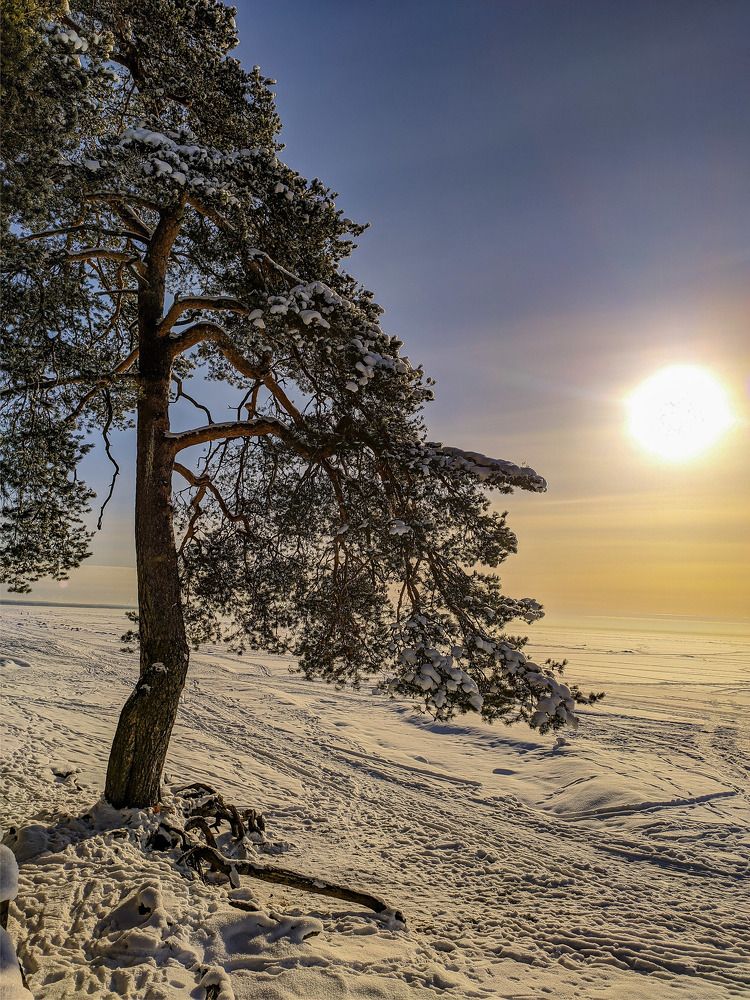 Photograph by Константин Леонюк