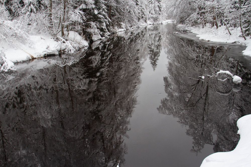 Photograph by Nadezhda Bakina