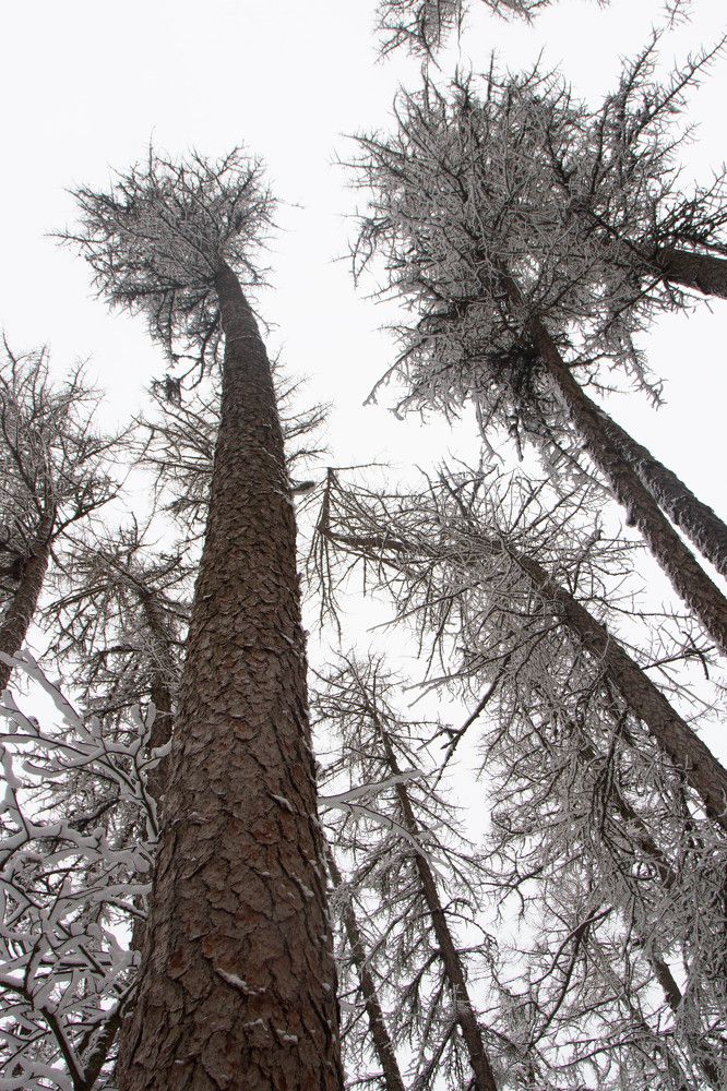 Photograph by Nadezhda Bakina