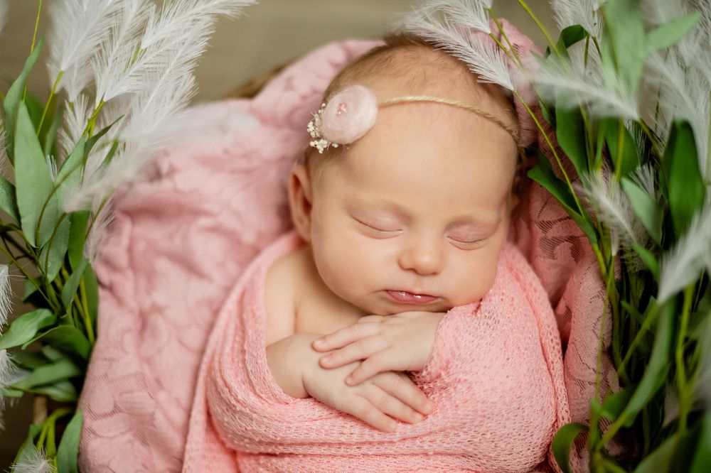 Photograph by Надежда Живидзе