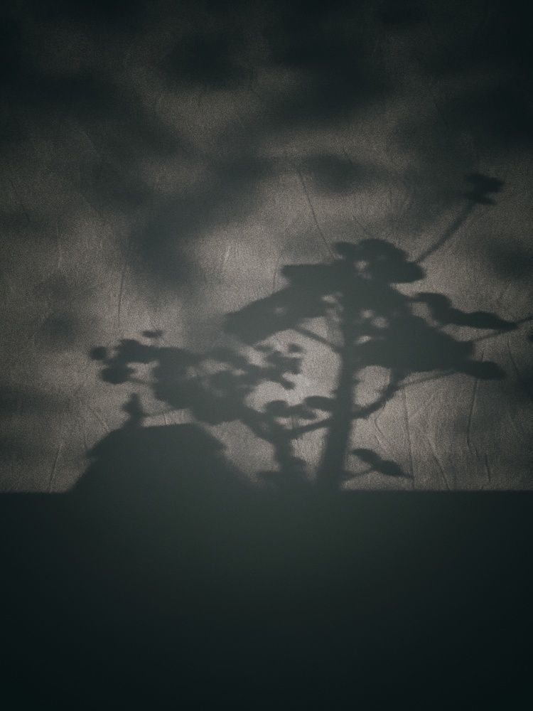 Photograph by Анна Нуразян