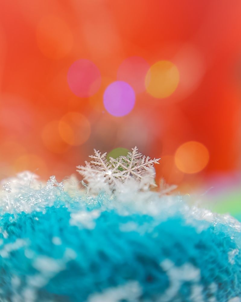 Дуэт снежинок