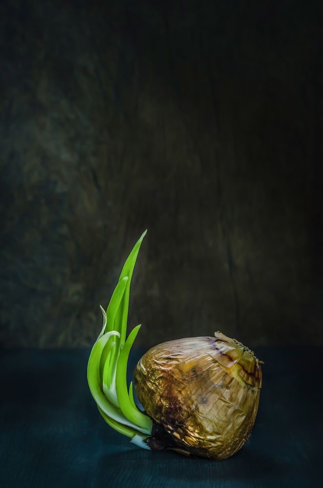 Photograph by rakratchada torsap