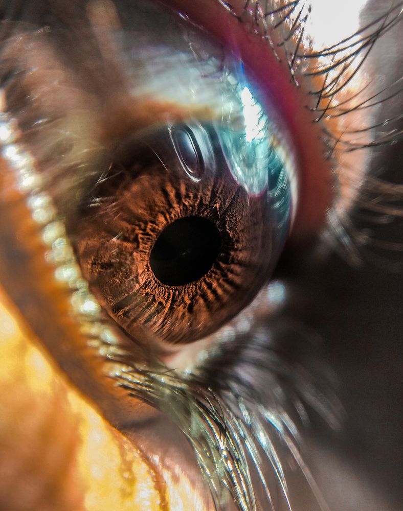 Photograph by Harsh Kushwah